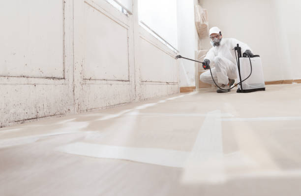 24/7 Emergency Attic Mold Removal experts in North Brunswick, NJ